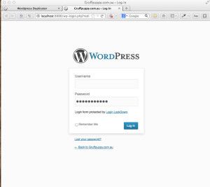 duplicate-wordpress-website-14