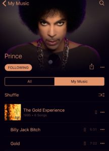 Prince in Music