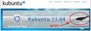 Kubuntu Linux Site Header WTF