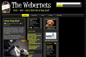 Webernets screen grab in internet explorer